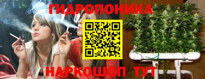 сатива Волжский