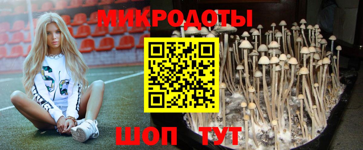 Балахна  Псилоцибиновые грибы ЛСД  Псилоцибиновые грибы прущие грибы  Вход с VPN 